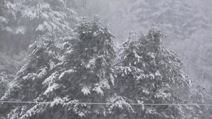 [날씨] 흐리고 영동·남부 비...강원 산간 폭설 / YTN