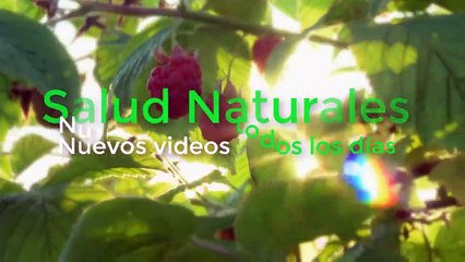 Al Día Siguiente Toda La Grasa Que Comiste si Bebe Esto Una Hora Antes De Dormir