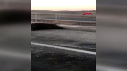 Kırşehir ölü domuzu otomobiliyle metrelerce sürükledi