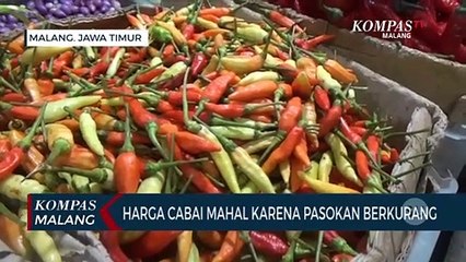 Harga Cabai di Pasar Tradisional Masih Pedas
