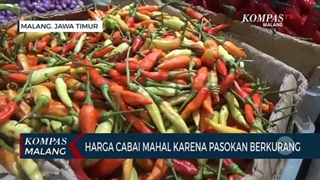 Harga Cabai di Pasar Tradisional Masih Pedas