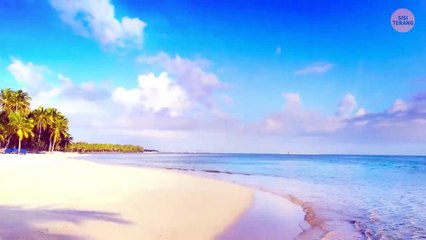Bagaimana Fiji Mengubah Cara Kita Terbang