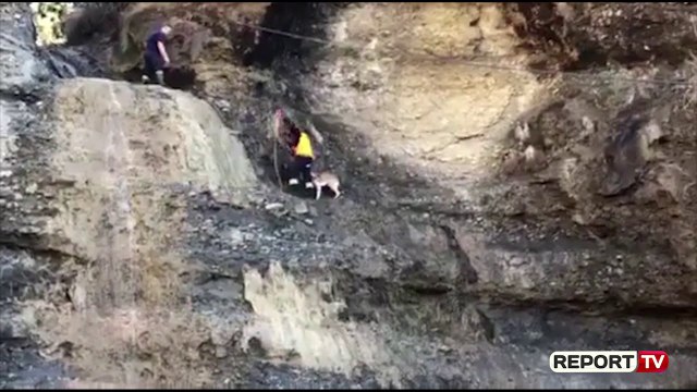 Qeni bie në greminë, vajza nga Gramshi me aftësi ndryshe bëhet shkak për shpëtimin e tij!