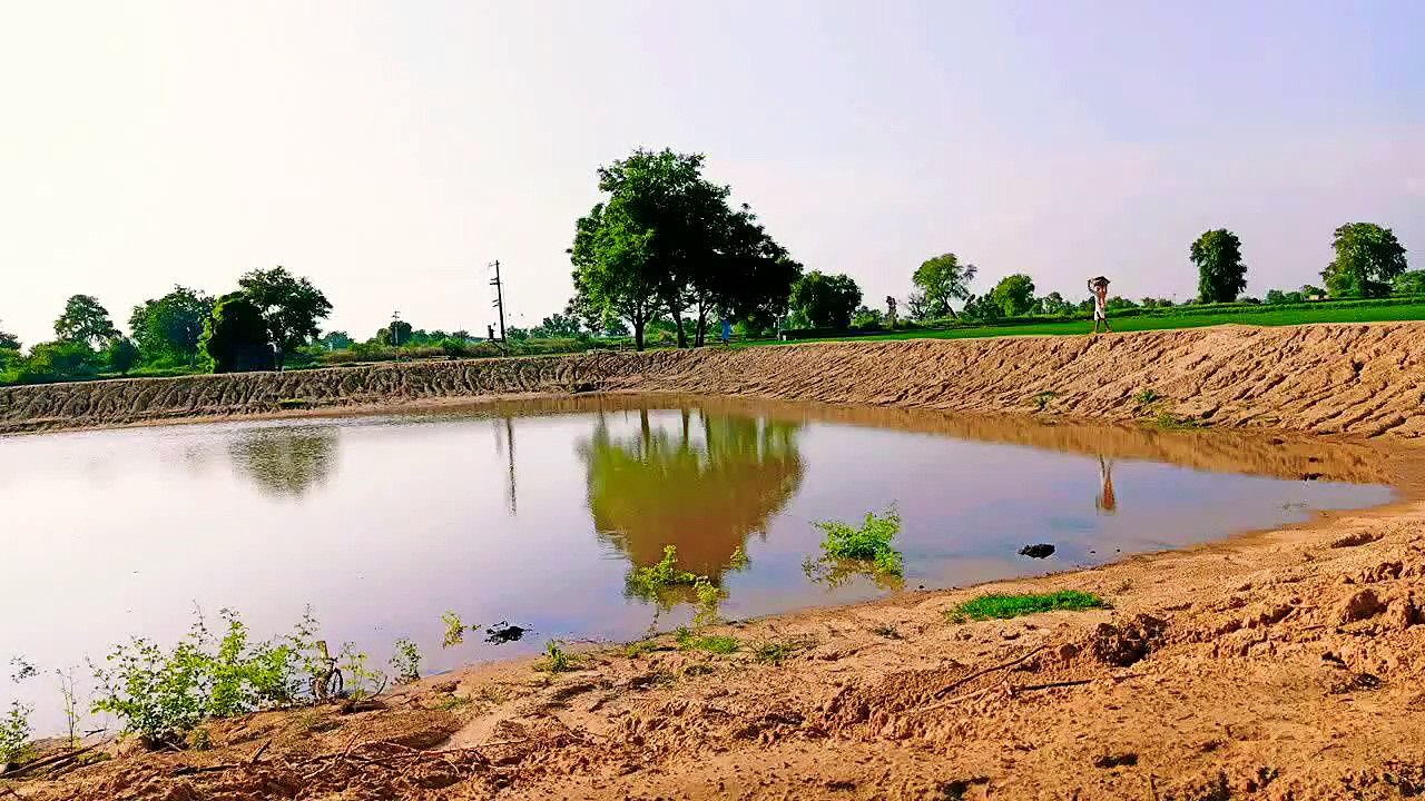 मछली पालन का तालाब कैसे तैयार करें |  -how to prepare fish pond,how to make fish pond