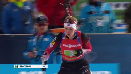 Les Bleus s'adjugent le relais mixte simple - Biathlon - CM