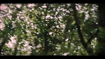 Hashtag Fragman: Watch the Exciting Trailer 🎬