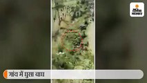 भंडारा के एक गांव में घुसे बाघ ने तीन ग्रामीणों को किया घायल, पकड़ने के प्रयास में जुटी वन विभाग की टीम 