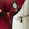 Spider-Man  Homecoming Sneak Peek (2017)   Movieclips Trailers