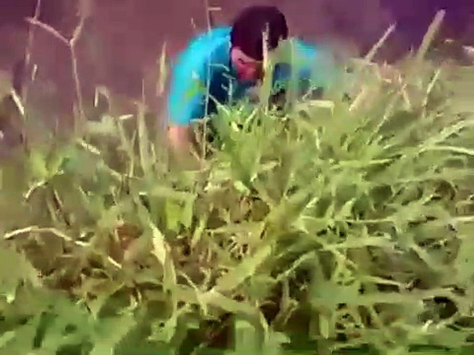Funny Flips MUST WATCH