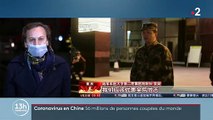 Virus - Sécurité maximum pour l'envoyé spécial de France 2 à Wuhan en Chine réalise son direct avec un masque dans le 13h