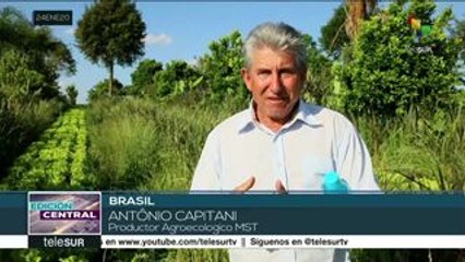 Brasil: Movimiento Sin Tierra lanza proyecto de reforestación