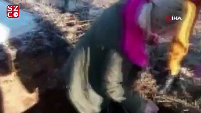 Depremde kalp krizinden ölen köpek Mersin’deki hayvan mezarlığına gömüldü