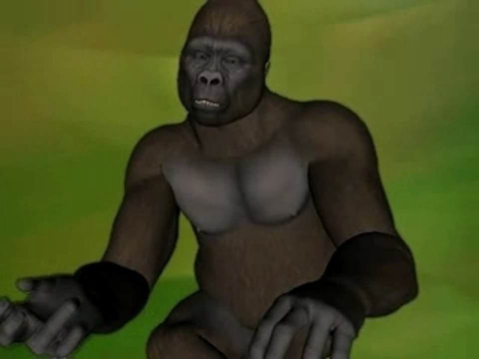 Monkey Talks