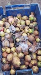 Market Juices Prepared by Dirty Fruits