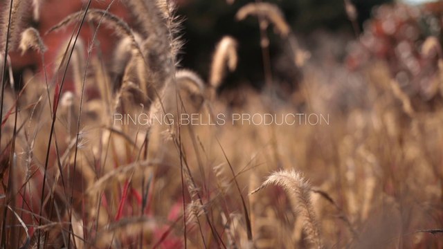 Best Pre Wedding Teaser 2019 | Dinesh & Aakanksha I coming soon