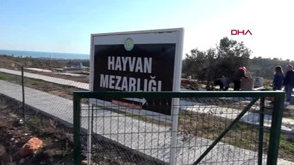 Depremde kalp krizi geçiren köpek mersin'de toprağa verildi