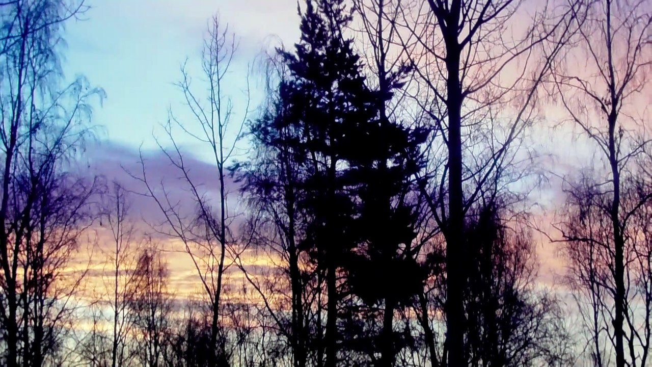 Dec 28 2019 DL3