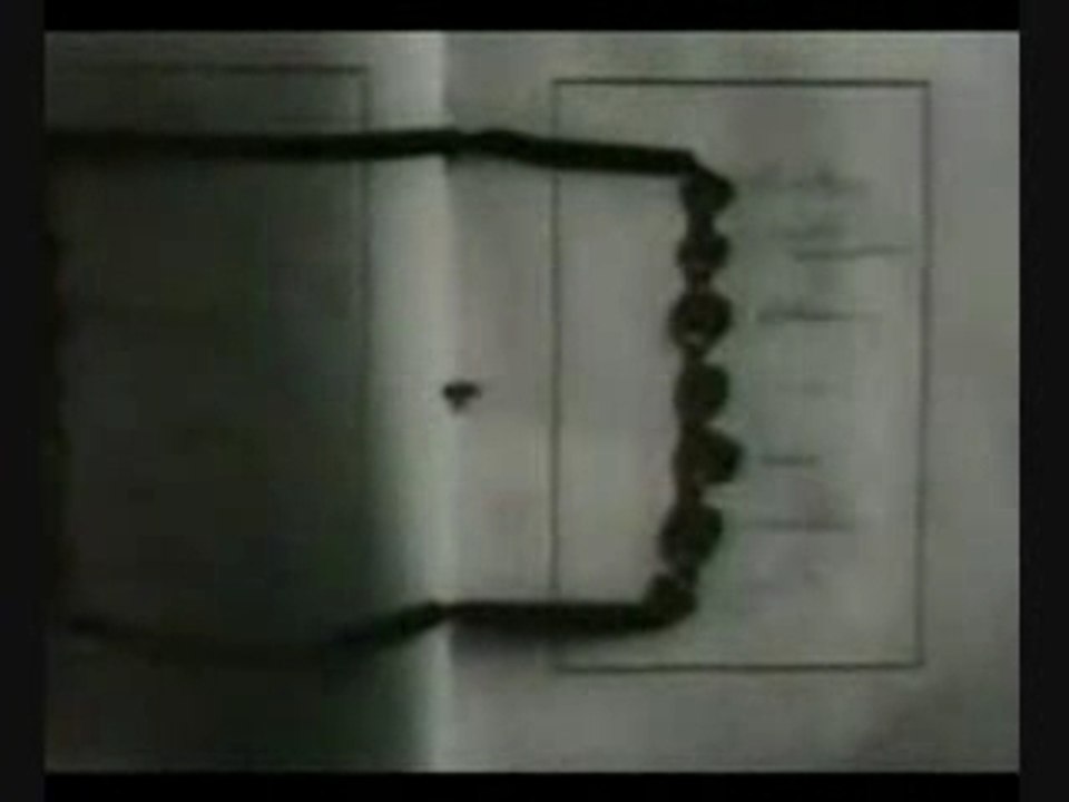 DOCUMENTAIRE ARCHIVES MEIN KAMPF 1