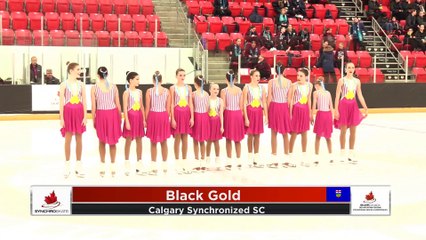 Novice - 2020 Mountain Regional Synchronized Skating Championships