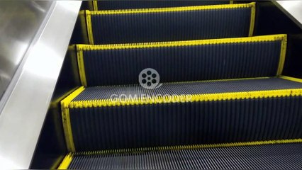 443 ペーパードライバーWebドライビングスクール　（一般会員コース）　動画で学ぶ車の運転上達法評判 感想 購入 特典 ブログ 評価 お試し ネタバレ 購入 レビュー 口コミ 令和