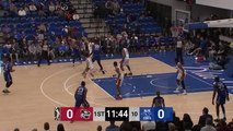 Delaware Blue Coats Top 3-pointers vs. Erie BayHawks