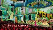 《2020中央广播电视总台春节联欢晚会》2020012544完整版