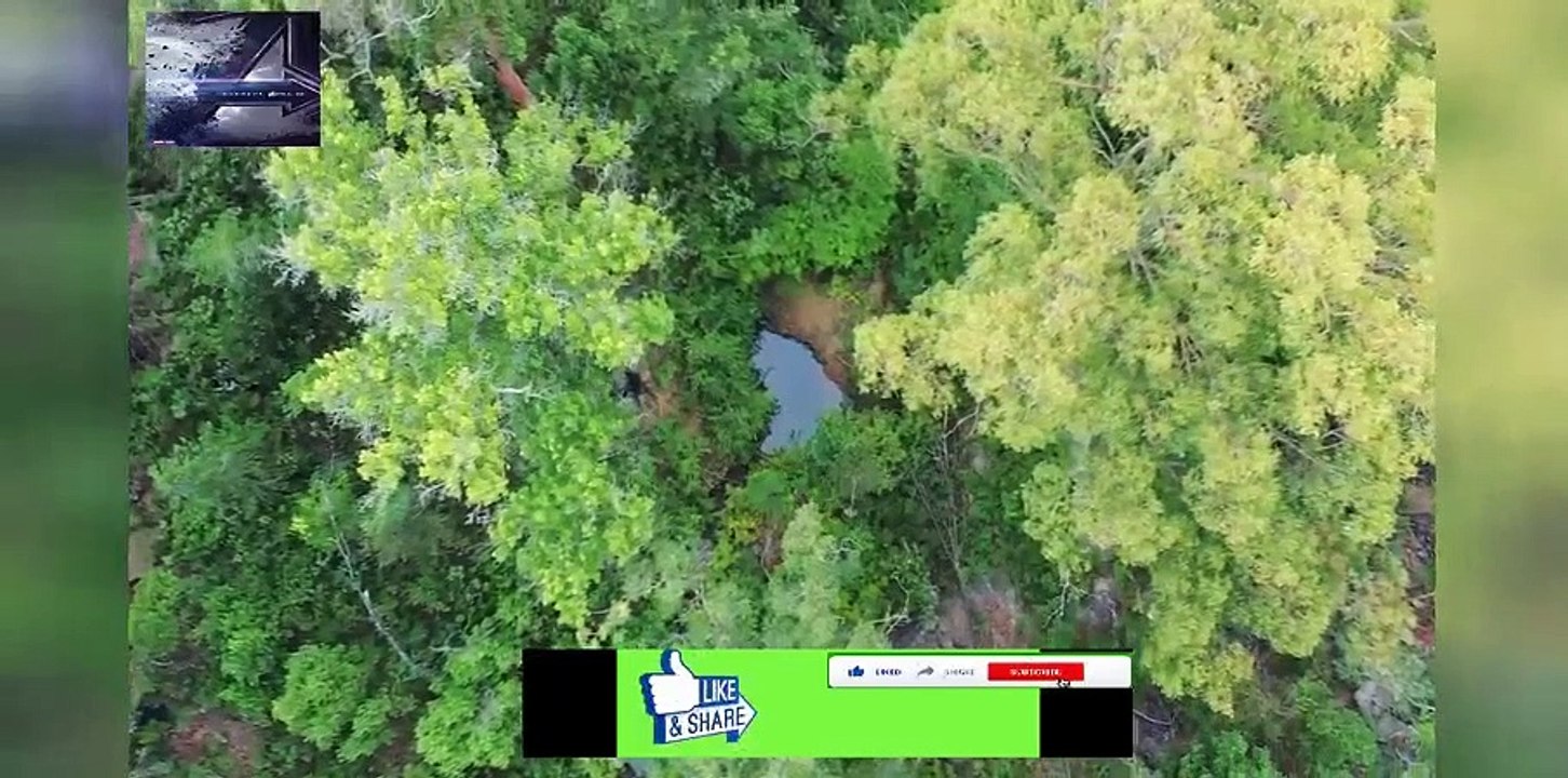 This Ultra Modern Tiny House Will Blow Your Mind - This ultra modern tiny house on wheels is tr...