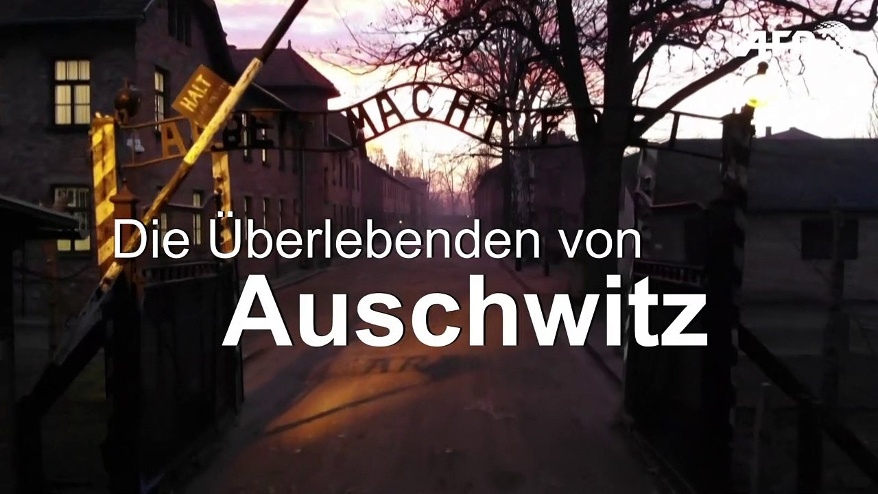 Die Überlebenden von Auschwitz