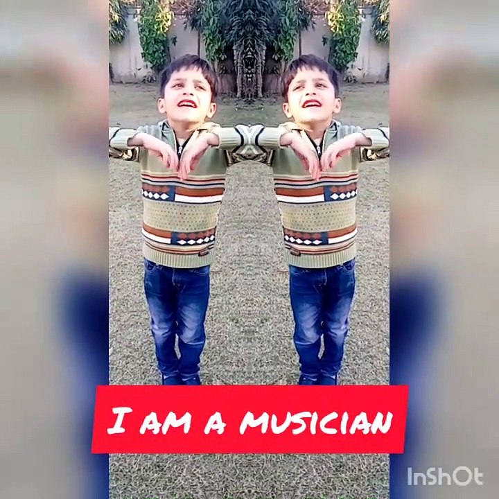 I am a Musician Poem - Abdul Hannan