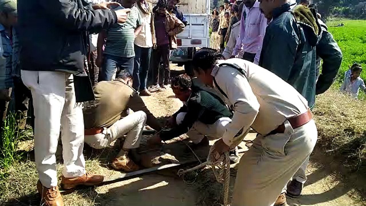 हरनीखेड़ा में 6 फिट लंबा मगरमच्छ, वन विभाग की टीम ने पकड़ा