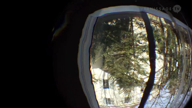 Olafur Eliasson: Symbiotic Seeing / Kunsthaus Zürich