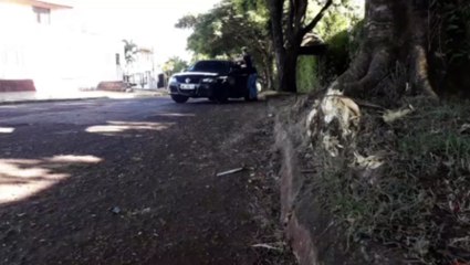 Carro bate em árvore no Bairro Cancelli