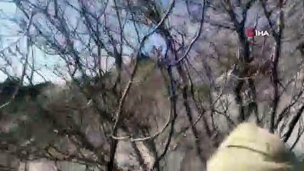 Ağaçlık alandaki yangına vatandaşlar müdahale etti