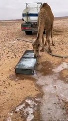 تجمد المياه في الطريف