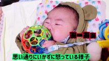 【修正5ヶ月】おもちゃと格闘する赤ちゃん　〜どうにかしたい、どうにもならない〜