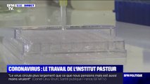 L'institut Pasteur étudie le coronavirus dans l'espoir d'y trouver un vaccin