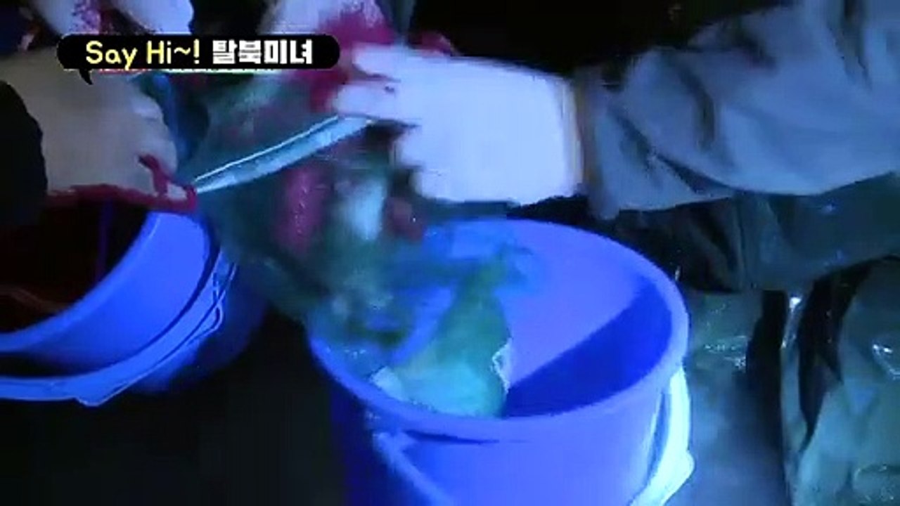 [세이하이 탈북미녀] 북한미녀 은하 난생 처음 낙지잡이에 나서다! 신들린 낙지 生 먹방까지!