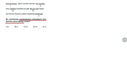 Sıradışı Analiz Yayınları TYT 4. Deneme Sınavı - Türkçe 16. Soru