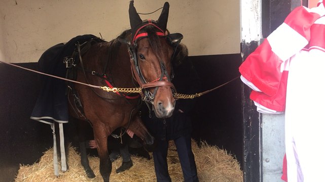 Grand Prix d’Amerique. Dans les écuries avant le départ