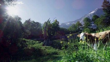 Les Alpes suisses se réinventent pour attirer les touristes et retenir sa population