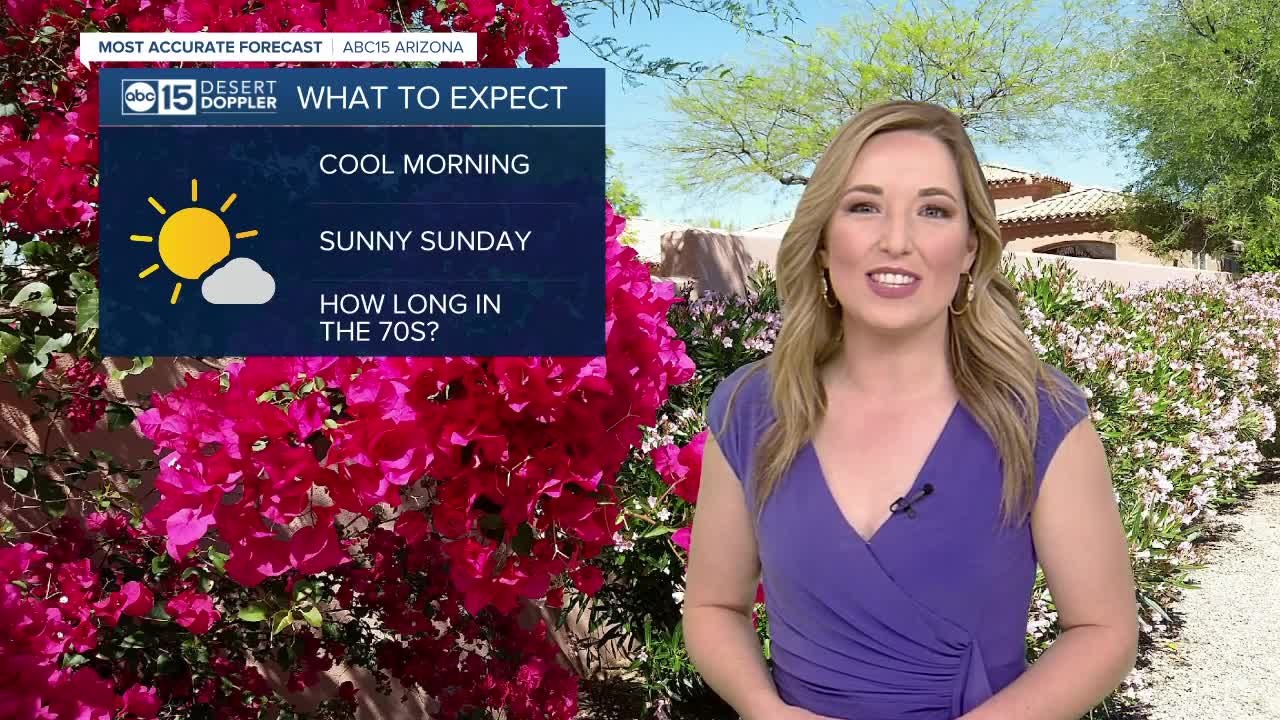 Sunday Morning Forecast