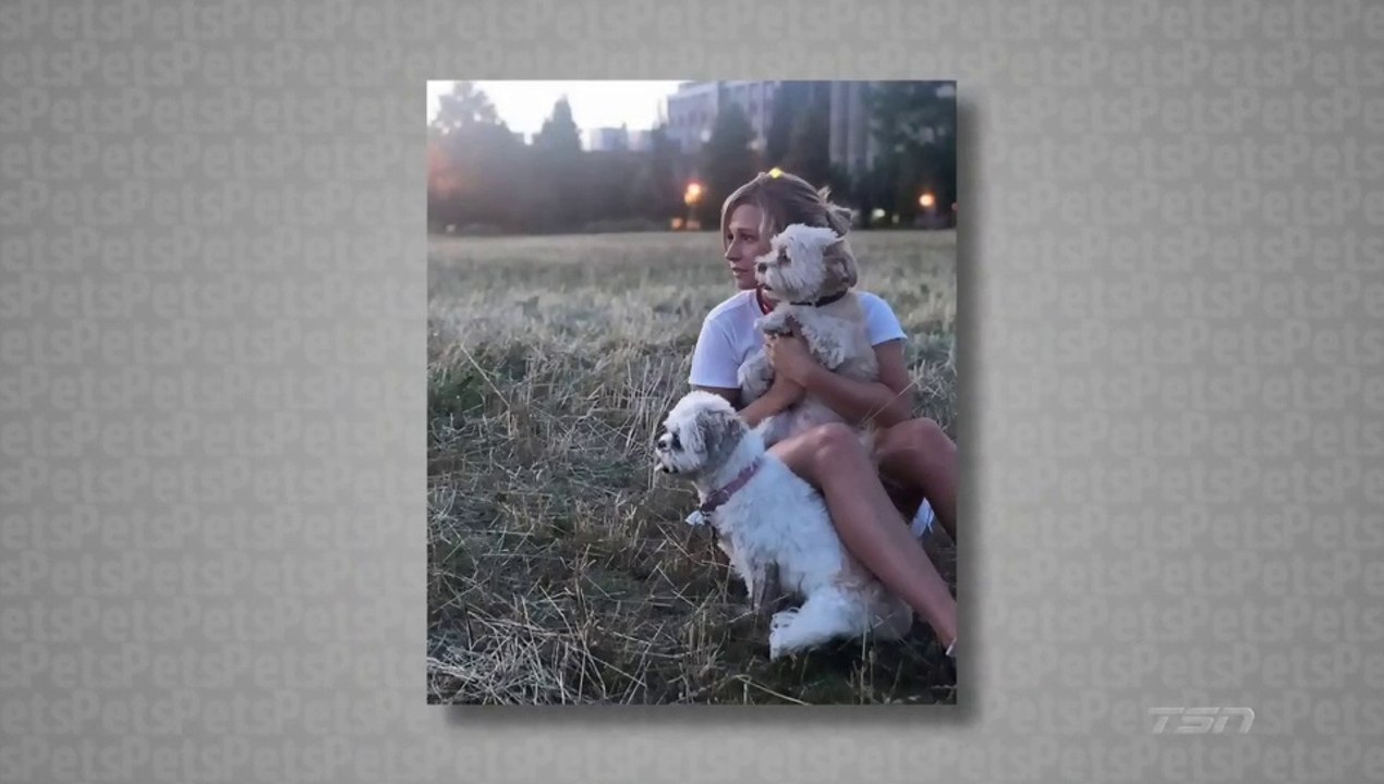 2020 CFSC Who Talks About Their Pet the Most Fluff