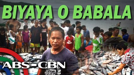 Himala o Babala ng Tulingan | Rated K