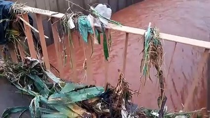 Sube número de muertos por violentas lluvias en sudeste de Brasil