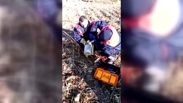 Kafası bidona sıkışan köpeği itfaiye kurtardı