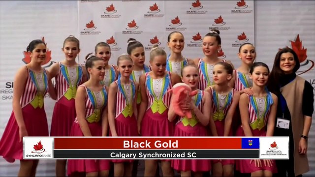 Novice Exhibition and Open Skate 2 - 2020 Mountain Regional Synchronized Skating Championships