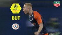 But Florent MOLLET (56ème) / Montpellier Hérault SC - Dijon FCO - (2-1) - (MHSC-DFCO) / 2019-20