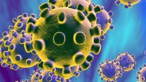 All you need to know about Coronavirus