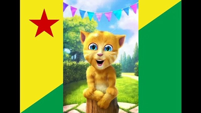 Bom dia Acre, terra de danças como o carimbó, na culinária é o tucunaré! [Mensagem] [Frases e Poemas]