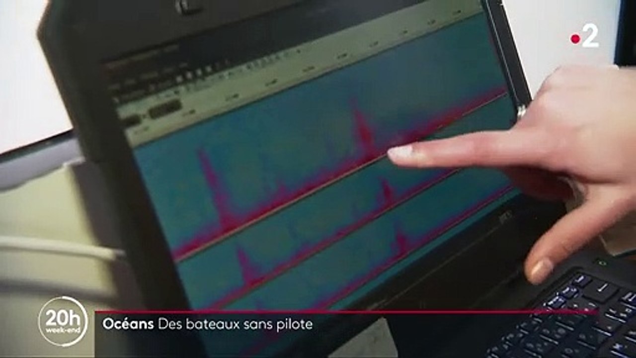 Océans : des drones marins acoustiques pour étudier les cétacés